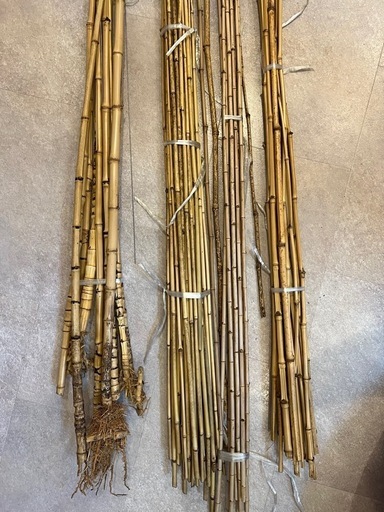 竹材 布袋竹、矢竹、寒竹、和竿や小物等用