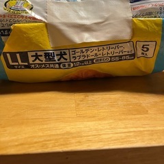 大型犬用紙おむつ
の画像