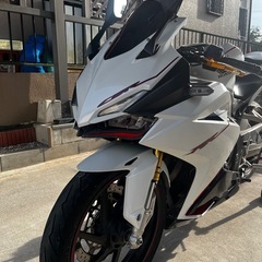 CBR250RR MC51の画像