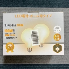 LED電球・ボール球タイプ100W 1個