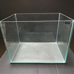 テトラ　オールガラス　30センチ水槽❗️ 中古品です。