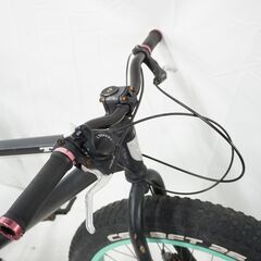 TXED 年式不明 ビーチクルーザーの画像