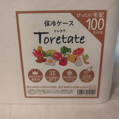 石山 保冷ケース Toretate 100サイズの画像