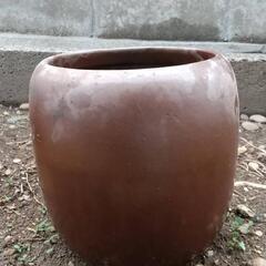 夏にも使える　火鉢（メダカ飼育などに）