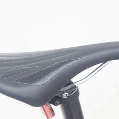 BIRDY 「バーディ」 STANDARD DISC 2022年モデル 18インチ 折り畳み自転車の画像