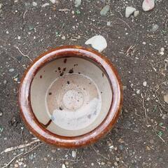 夏にも使える　火鉢（メダカ飼育などにも使えます）の画像
