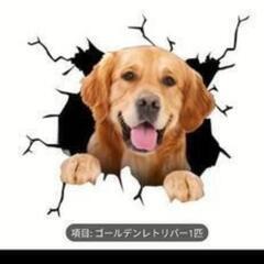 ポメラニアン♦犬のデザイン♦ ステッカー♦ 6種セットの画像