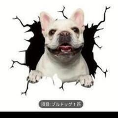 ポメラニアン♦犬のデザイン♦ ステッカー♦ 6種セットの画像