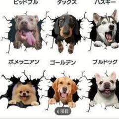 ポメラニアン♦犬のデザイン♦ ステッカー♦ 6種セットの画像
