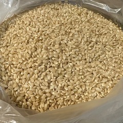 ◾️引き渡し限定◾️古古米・玄米6kg【引き渡し可能日→5/9.10】の画像