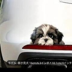 シーズ♦犬のイラスト ♦インテリア♦アイテム ♦16cmの画像