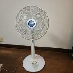 お取り引き中です　TOSHIBA　リビング扇風機の画像