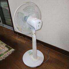 お取り引き中です　TOSHIBA　リビング扇風機の画像