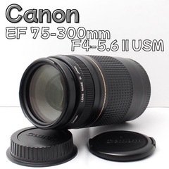 野鳥・運動会に！Canon EF 75-300mm F4-5.6...