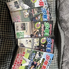 少年野球　指導者用？　DVDの画像