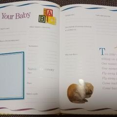 the baby record bookの画像