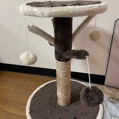 キャットタワー