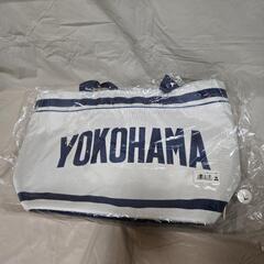 『横浜DeNAベイスターズファンフェスティバル2019』チケット...