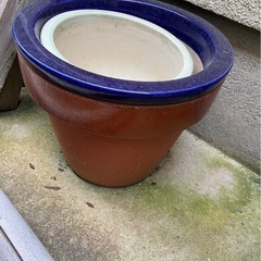 雪割り草鉢　4号　　だおん鉢の画像