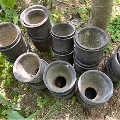 雪割り草鉢　4号　　だおん鉢の画像