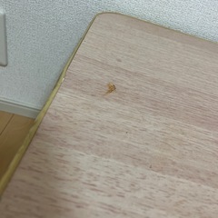 折りたたみテーブルの画像