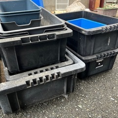 決まりました！ボックス　メダカ用の画像