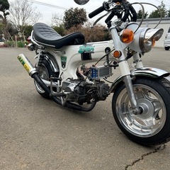 ホンダ ダックスの画像