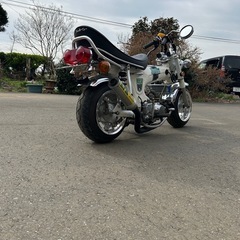 ホンダ ダックス