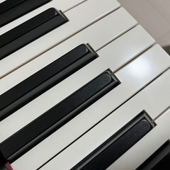 YAMAHA CP88
の画像