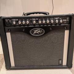 peavey envoy110
