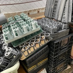 【差し上げます】育苗用トレーの画像