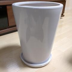 【すぐ使える】白色陶器製 8号植木鉢・水受けセットの画像
