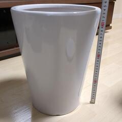 【すぐ使える】白色陶器製 8号植木鉢・水受けセットの画像