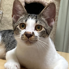   ✨グルチャがなければきっと知り合う事が無かった人達と知…