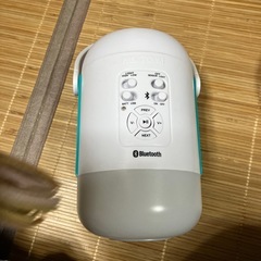 Bluetooth