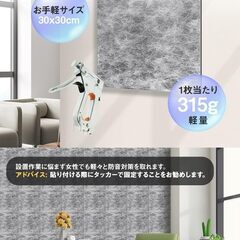 遮音シート（30㎝角　約100枚）