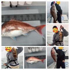 舞鶴  海釣り
