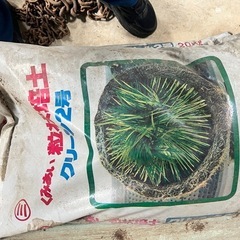 くみあい　粒状培土の画像