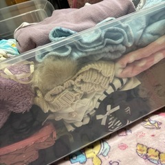 子供服の画像