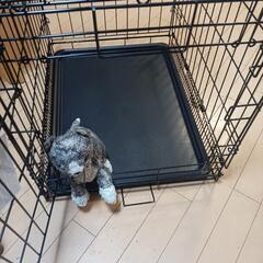 ペットゲージ 小型犬用の画像