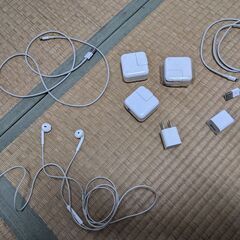 ipad iphone 充電器　ケーブル　イヤホン 純正の画像