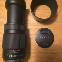 望遠レンズ - LUMIX G VARIO 100-300mm H-FS100300の画像