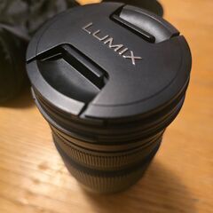 望遠レンズ - LUMIX G VARIO 100-300mm H-FS100300の画像
