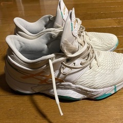 アシックス　バッシュ