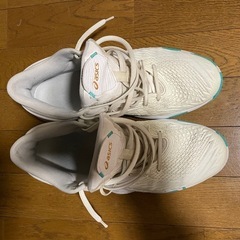 アシックス　バッシュの画像