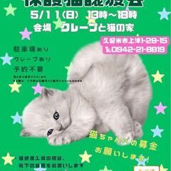 保護猫譲渡会5/11(日)