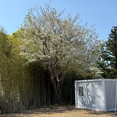 【売地】和歌山みなべ・千里の浜、熊野古道に隣接　海! 森! 川! 大自然に囲まれた唯一無二のリゾート物件 - 土地販売/土地売買