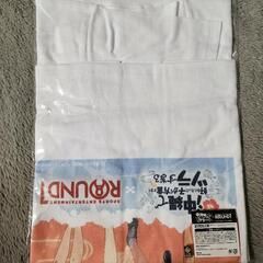 値引き ROUND1限定　沖ツラTシャツの画像