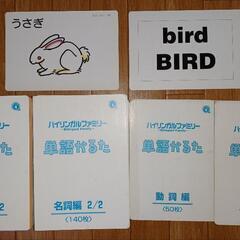 【家庭保育園】バイリンガルファミリーの画像