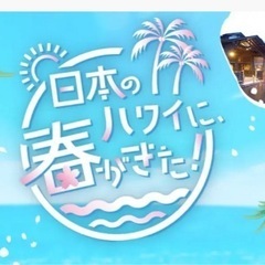 スパリゾートハワイアンズペアチケット